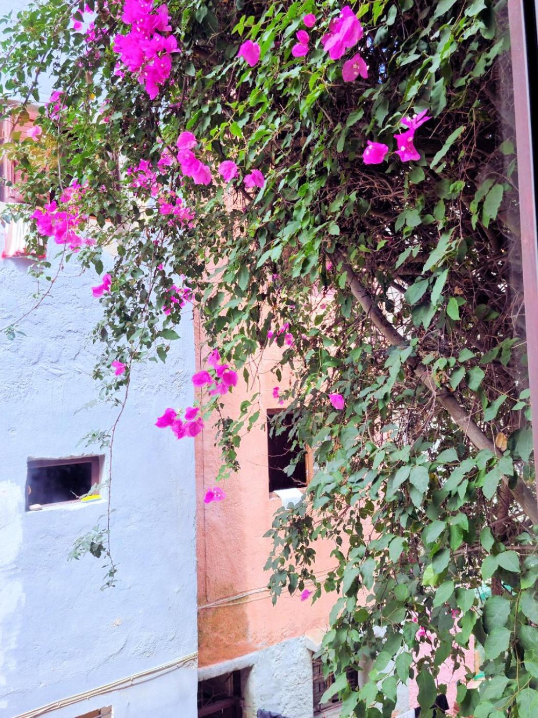 Maison D'Hotes Cite Portugaise El Jadida Phòng bức ảnh
